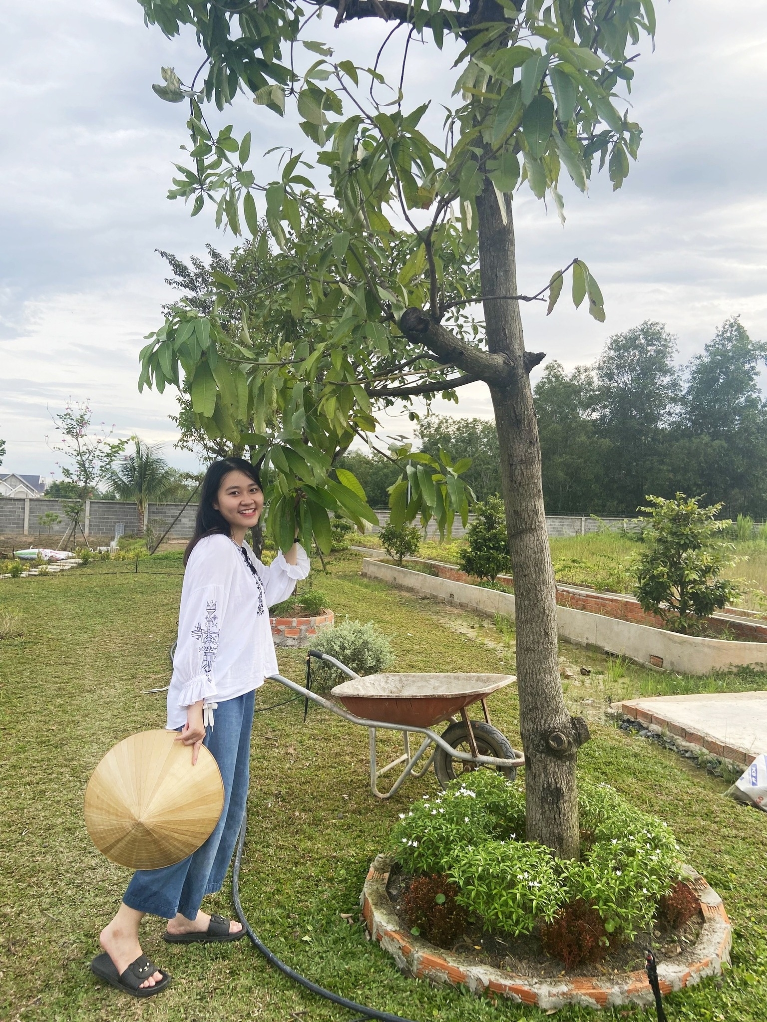 Nguyễn Thị Diệu Hoàng